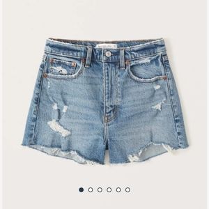 New Abercrombie & Fitch plus size shorts